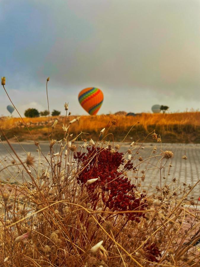 Soleado Cappadocia Hotel Uçhisar Dış mekan fotoğraf